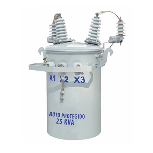 Electrical Transformer 12 kV 240 V Oil Type Distribution Transformer 50 kVA Single Phase Pole Mounted Transformer