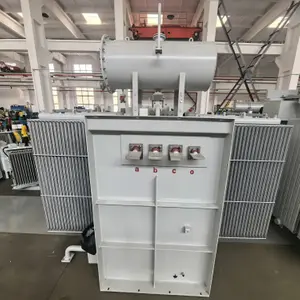 Large-capacity Oil-immersed Transformer
