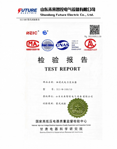 Test Report