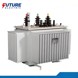 S13-M 10-35kV Oil-Immersed Transformer