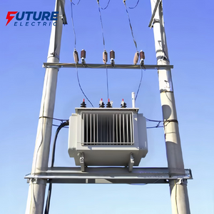 S13-M 10kV Oil Immersed Transformer Factory