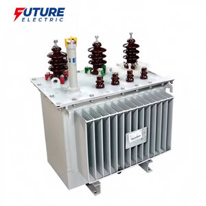 S13-M 10kV oil immersed power transformer manufacturer