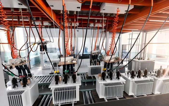Oil immersed transformer