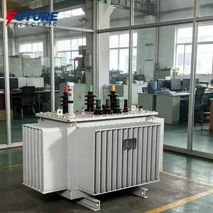 S22-M 10kV Oil Immersed Transformer Price