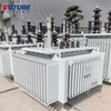 S20-M 10kV Oil Immersed Self Cooled Transformer