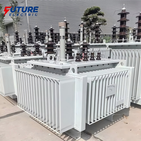 S20-M 10kV Oil Immersed Self Cooled Transformer