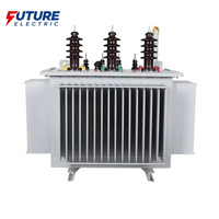 S22-M 10kV Oil-Immersed Step-Up Transformer