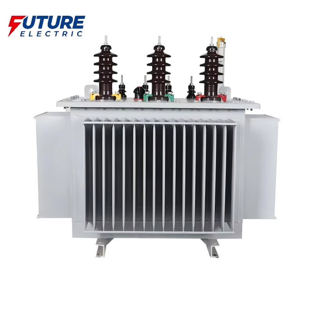 10-20kV Oil-Immersed Transformer (18)