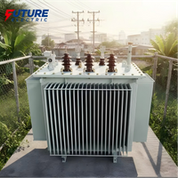 S13-M 10kV Oil Immersed Type Transformer